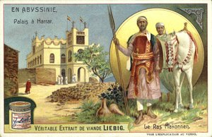 Palazzo di Harar e Ras Makonnen, Etiopia da European School